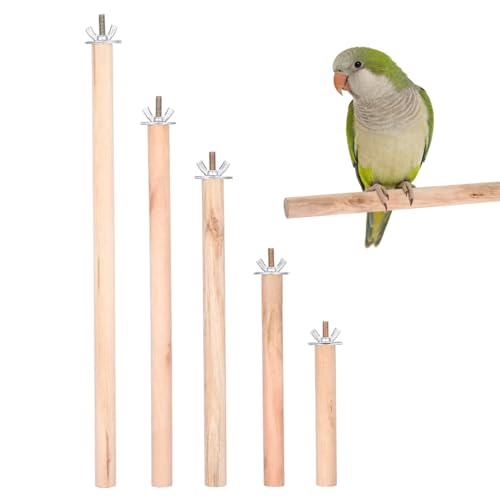 Perchoir de meulage pour perruche et calopsitte en bois lisse et stable - Lot de 5
