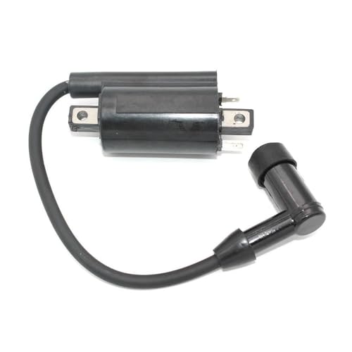 Bobina del módulo de encendido compatible con 425, 445 y 455 2