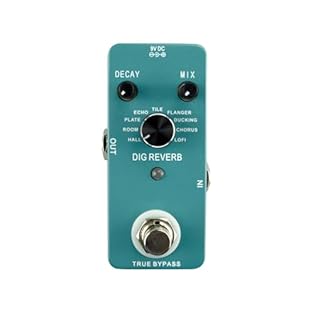 [VERSATILE SOUNDS] Explore various reverb types like ECHO, FLANGER, DUCKING, and CHORUS for creative effects. [COMPACT SIZE] Designed for convenience, this pedal is compact and exquisite, perfect for gigs or practice sessions. [EASY TO USE] Simply pl...