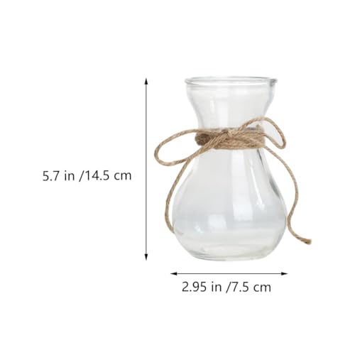 Vase en verre transparent fleurs hydroponiques décoration bureau