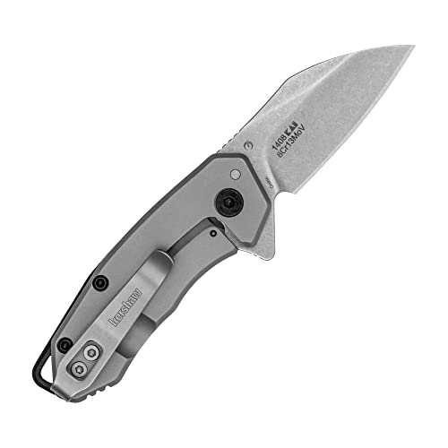 Kershaw Rate Folding Pocket Knife, Small Everyday Carry Knife With Assisted Opening, 8Cr13Mov Stainless Steel Blade, Pocketclip And Lanyard Hole,Grey #TOP3