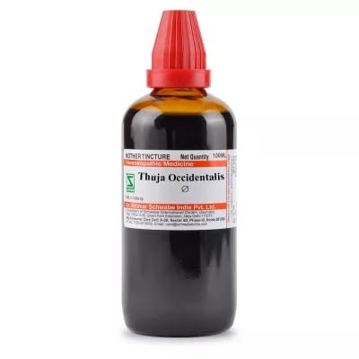 See full amazon price history chart for Thuja Occidentalis (Q) (100ml) || Willmar Schwabe India Homeopathy Thuja Occidentalis (Q) (100ml) || Willmar Schwabe India Homeopathy (B0CVFRKW3Y) Amazon Price History, Amazon Price Tracker