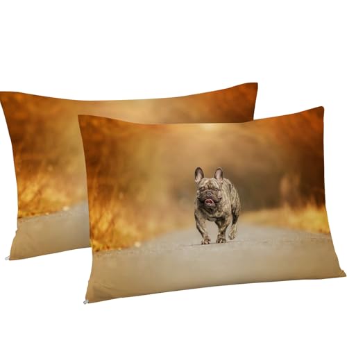 Housse couette microfibre douce bouledogue 160x200 finition fermeture éclair - 8