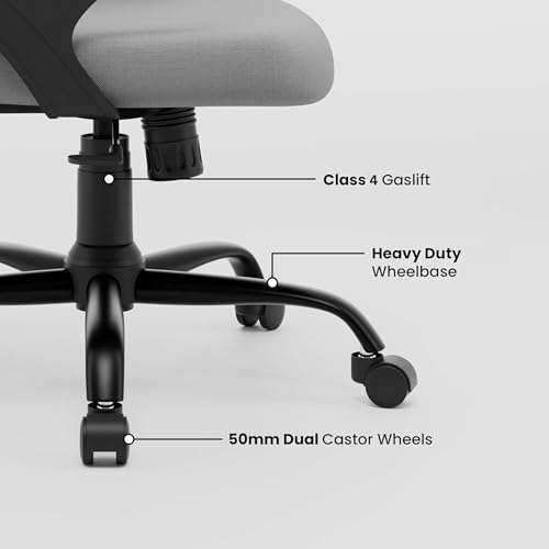 Image of Align Cherry Orthopedic Ergonomic Office Mesh Chair with Lumbar Support, Comfortable Cushioned Seat, Adjustable Height, Revolving Design, Tilt Lock, Heavy Duty Metal Base, 3 Years Warranty (Grey)