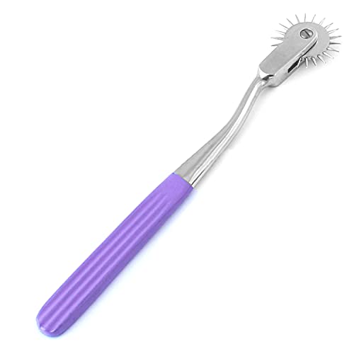 Wartenberg-Pin-Wheel-Purple-Color