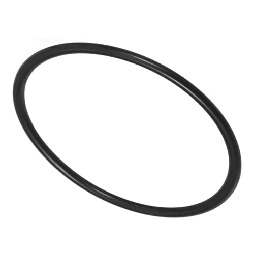 Abaodam Reemplazo Anillo De Sellado De Clorador Cl100 Cl110 Anillo De Cubierta De Clorador Sellado Hermético Protección Contra Fugas Para Uso En Piscinas