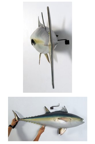 Amazon.co.jp: FRPアニマルオブジェ マグロ 置物 動物 魚 鮪 まぐろ