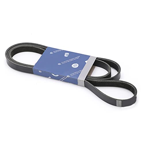 Correa serpentina de caucho sintético duradero compatible con Cherokee XJ 2.5 2