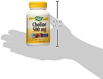Natures Way 500Mg 100 Tb Choline, 100 CT