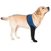 COODEO Dog Socks to Prevent Licking Paws, Healing Boots & Paw Protectors with Non-Slip Bottoms for Wound Protection, Waterproof Sleeve Shoes for Licking（Blue，L_Left