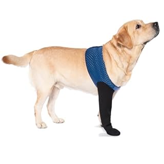 COODEO Dog Socks to Prevent Licking Paws, Healing Boots & Paw Protectors with Non-Slip Bottoms for Wound Protection, Waterproof Sleeve Shoes for Licking（Blue，L_Left