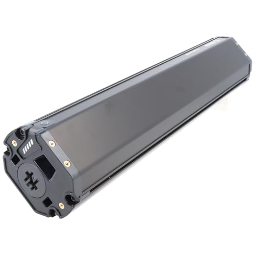 Bosch PowerTube 625 Ebenen - Intelligentes System