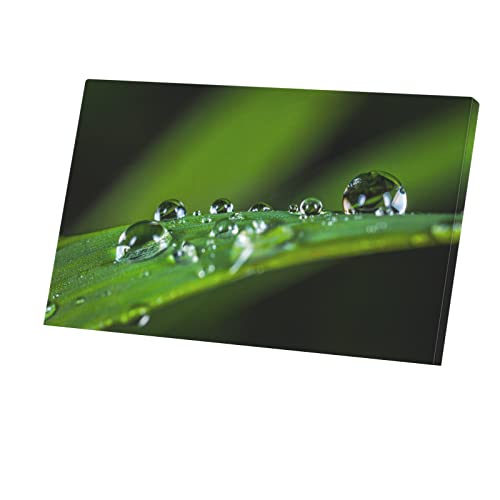 Tableau toile feuille verte pour grand mur vide affiche poster 100x60