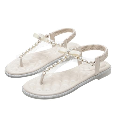 [SEINIES] 傫TCY r[`T_ 26.5cm 21.5cm gO ew tbg fB[X S obNXgbv [q[ ᔽ ₷ ₷ EȂ p[ rW[ { 