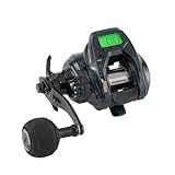 テイルウォーク(Tailwalk) ヴィレイヤー(VILAYER) DG 100HG-PH/L