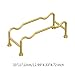 RNXRZANK Dumbbell Storage Stand for Weight Organization and Exercise, Gold