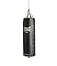 Everlast 80lb PowerCore Heavy Bag