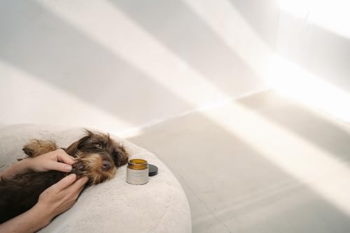 Pfotenbalsam für Hunde – mit natürlichen Inhaltsstoffen, beruhigt und schützt die Haut, stärkt die Widerstandskraft der Pfotenballen, PFÖTCHENPFLEGE von LILA LOVES IT, 60 ml