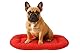 Flamingo Hundekissen - Katzenkissen - Hundekissen oval - Hundekissen kleine Hunde 55 x 39 cm Hundekissen Firenze Dünn Oval Grau