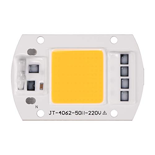 Houkiper LED Floodlight COB Chip Light Smart IC Driver Lamp 220V (Warm White (100w))