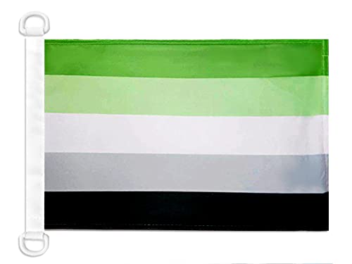 AZ FLAG Aromantic Pride Nautical Flag 18''x 12'' for Outdoor and Boat, aromanticism Banner Knitted Polyester with Two Plastic Rings 30 x 45 cm