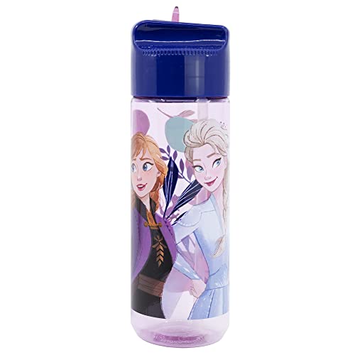 Bouteille d'eau Frozen Ecozen 540 ml