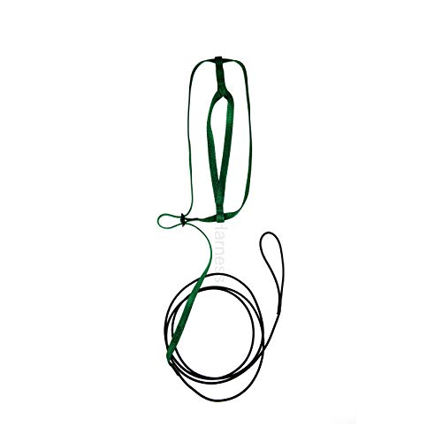 Image of The AVIATOR Pet Bird Harness and Leash: X-Large Green