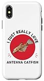 Antenna Catfish I Just Really Love Antenna Catfish