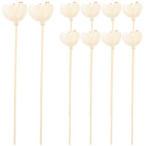 Cabilock Flower Diffuser Sticks Essential Oil Flowers Home Fragrance Diffuser Tools Diffuser