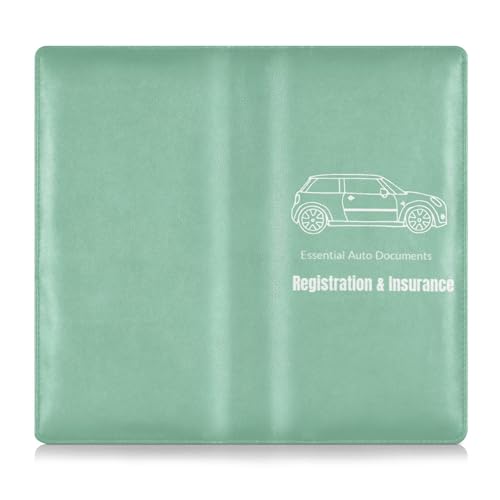 Organizador para auto cuero compacto miniatura 7