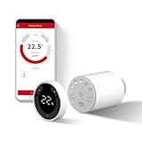 ECOBAY
