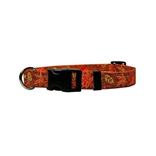 Image of Yellow Dog Design Fall Leaves Dog Collar 3 /4 inch Wide and Fits Neck 10 to 14 inch, Small