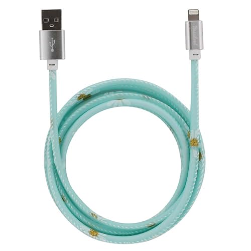 Câble USB vers Lightning certifié MFi Breakout en nylon tressé long