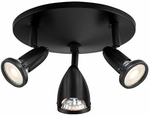 Access Lighting - HI Access 52103LEDDLP-BL Transitional LED Spotlight Cluster from Cobra Collection in Black Finish