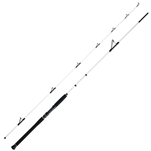 WFT Salzmeister Köhler Jigger 2,65m 25-120g