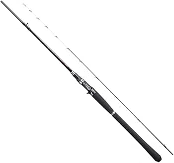 SHIMANO SALTY ADVANCE 10フィート ショアジギングロッド SHIMANO SALTY ADVANCE 10フィート ショアジギングロッド SHIMANO