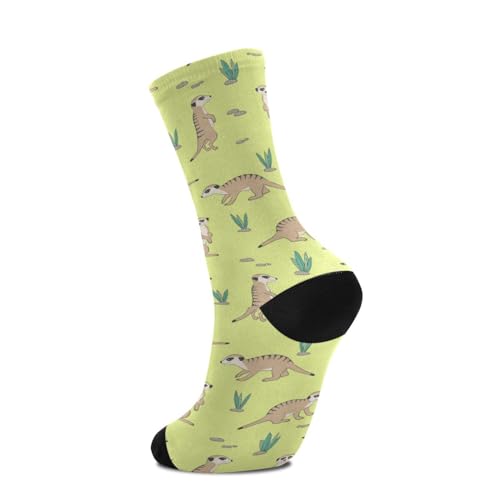 Wusikd Cute Meerkat Socks for Women and Men Long Socks for Athletic Running 14