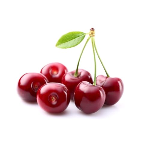 Fresh Cherry 125g Import