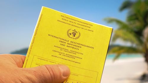 1x Impfbuch Impfpass Impfausweis - internationale Bescheinigung über Impfungen für Babys, Kinder, Jugendliche, Erwachsene mit extra Covid-19 Seite - Ausgabe 2021