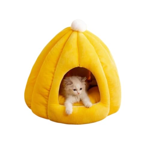 YAKINO L xbh ybg nEX h[^ ӂӂ  J{` _炩 NbVt \tg ~ 􂦂 Q g h Lbg ^  ybgpi ~ (CG[,M 40*40*35)