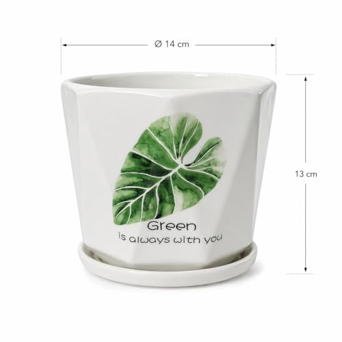 Image of Xtore Elegant Botanical Ceramic Planter with Drainage Tray | Minimalist Indoor Flower Pot for Home, Office Desk & Balcony Styling (White & Green Leaf Design -Planter only)
