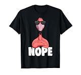 Süße Flamingo Liebhaber Geschenke