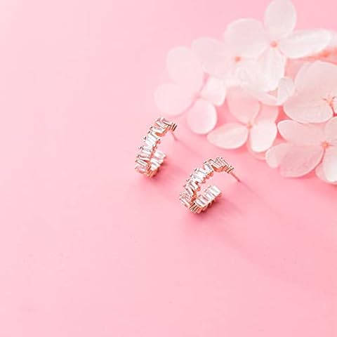HGJH Silver Studs Earrings for Women, S925 Silver Earrings Glitter Zircon Semicircle Ear Studs Fashion Crystal Stud Earrings Rose Gold Rhinestone Stud Earrings Charm Jewelry for Women Girlfriend Cover