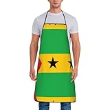 WSSYYBF Schürze mit Flagge von Sao Tome & Principe, wasserabweisendes Polyester, Frontdruck-Design für Küche, Profi, Grill