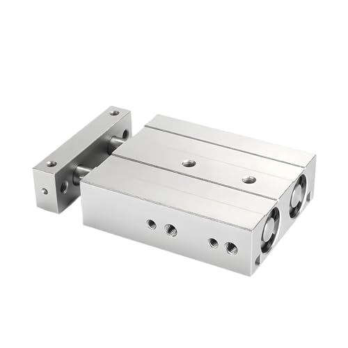 Vérin pneumatique TR20X125S double tige pour convoyeur automatisé