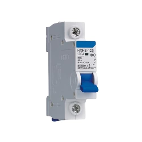 Disjoncteur NXHB-125 2P protège vos appareils contre la surcharge