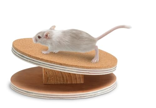 Karlie 1030509 Bogie Disc Holz-Laufscheibe ø: 16 cm