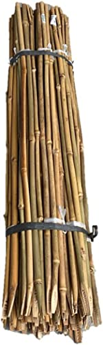 臼井農畜産 (自社製造) 天然竹 女竹 90cm1000本 【根元カットで挿しやすい】め竹 めだけ 篠竹 しの竹 竹支柱 添え木 測量用 農業 園芸 土地家屋調査士用 杭 目印
