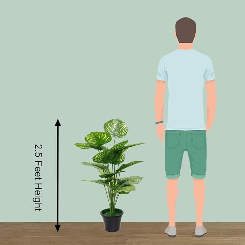 AAVANA GREENS 30 Inch Artificial Plant Philodendron with Black Pot Tropical Caladium Ornamental Plant for Indoor and Outdoor, Home, Shop, Office, Restaurant Decor Dark Green (Pack of 1), Plastic