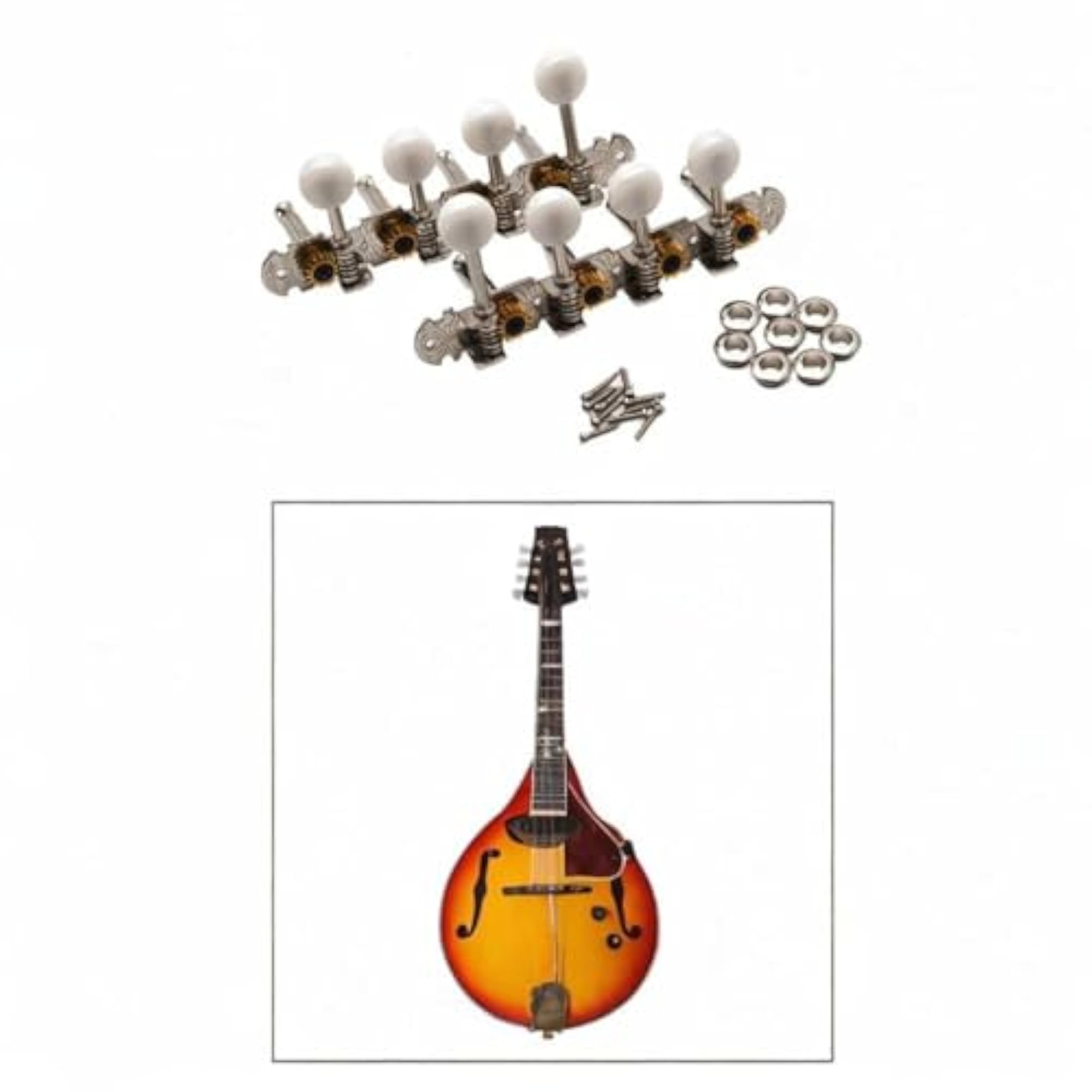 Mandolin Tuning Pegs Knobs for 8 String Guitar